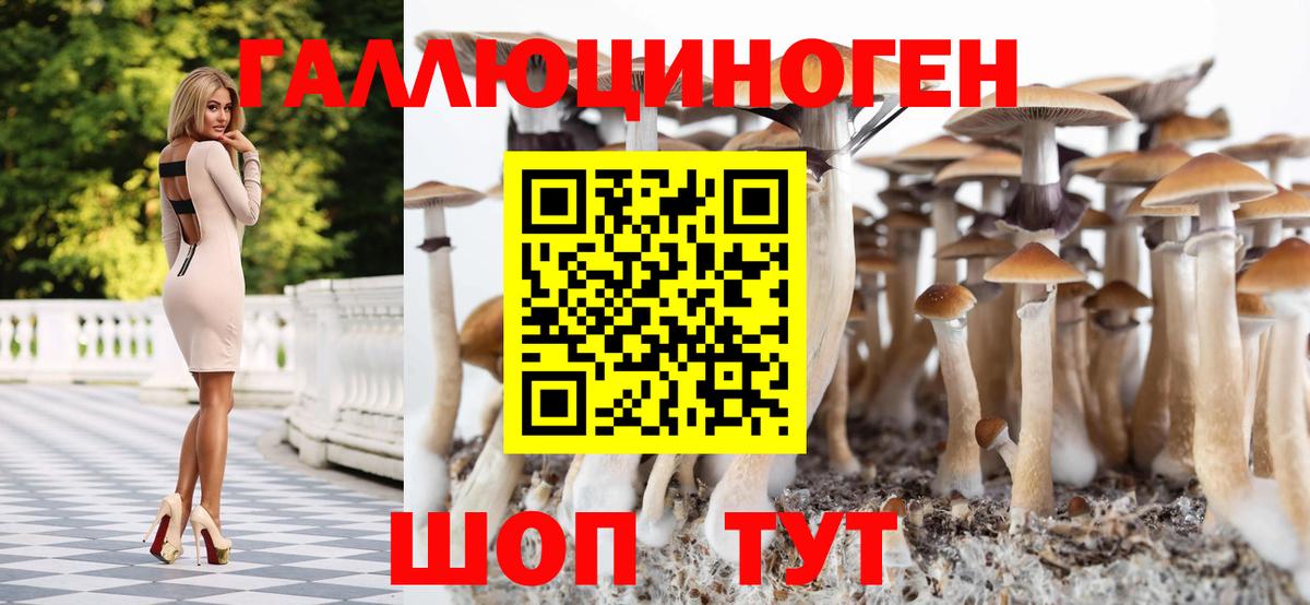 Псилоцибиновые грибы GOLDEN TEACHER Камышлов