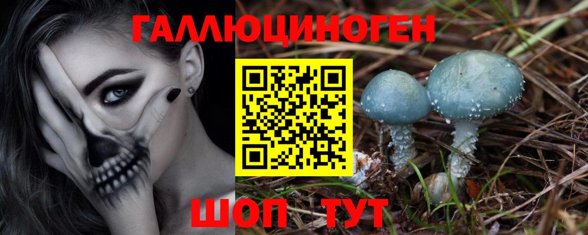 Камышлов  Псилоцибиновые грибы мухоморы  Вход с VPN 